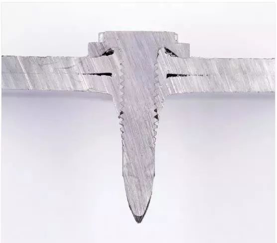 圖片2.png 圖片2.png